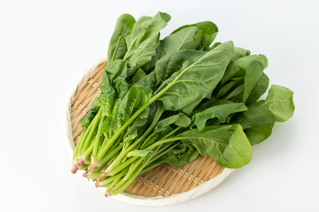 ほうれん草の写真